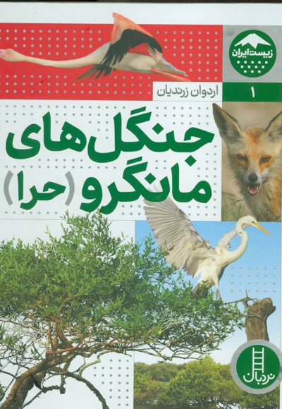 جنگل های مانگرو